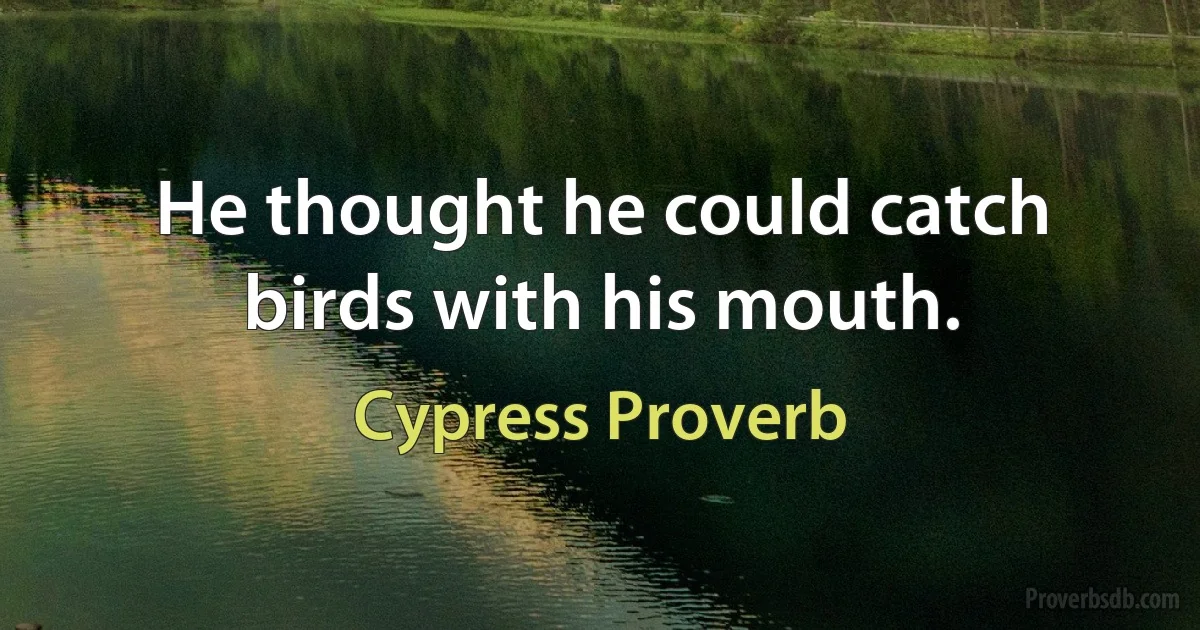 He thought he could catch birds with his mouth. (Cypress Proverb)