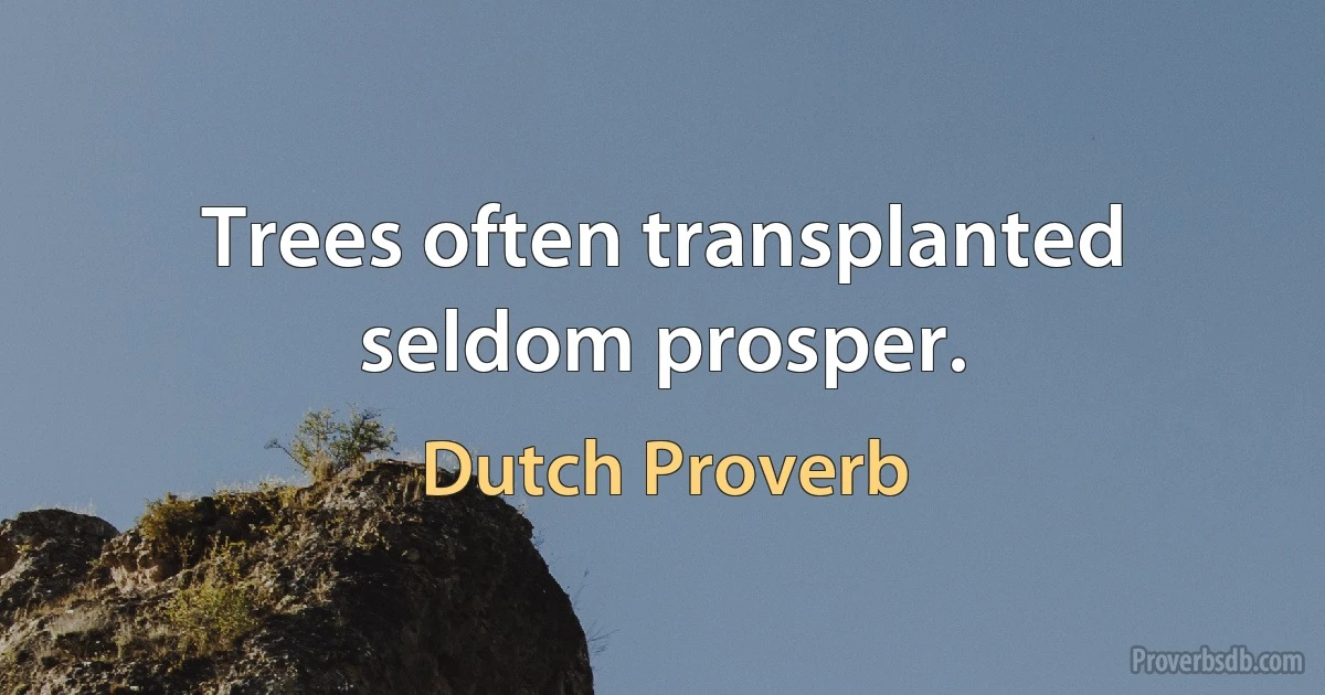 Trees often transplanted seldom prosper. (Dutch Proverb)