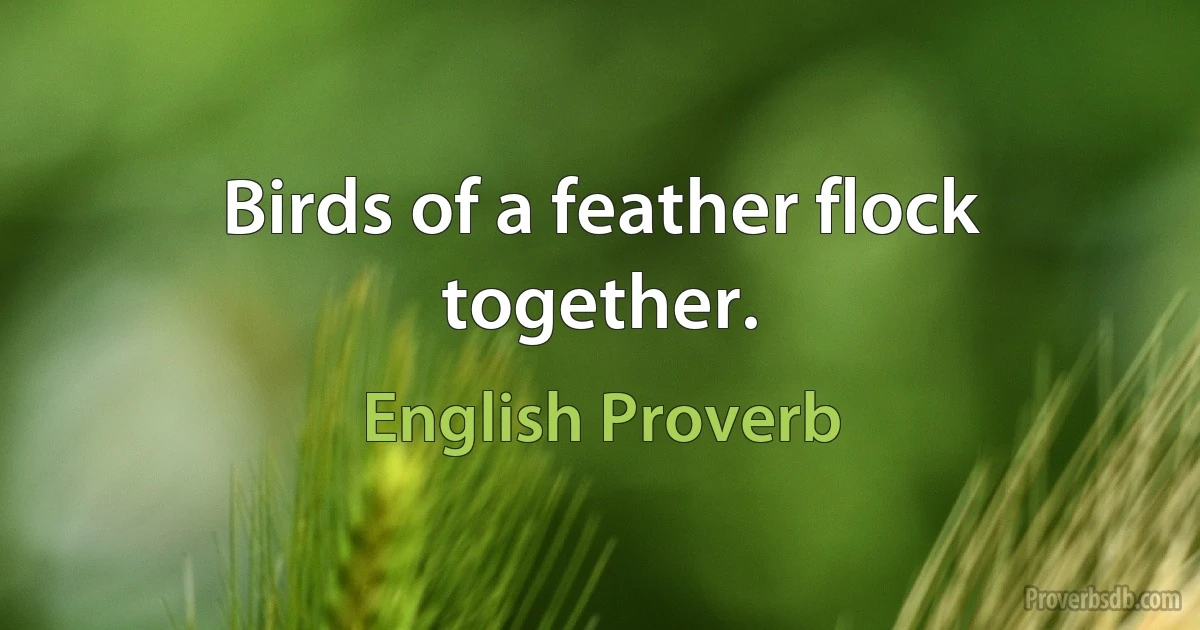 Birds of a feather flock together. (English Proverb)