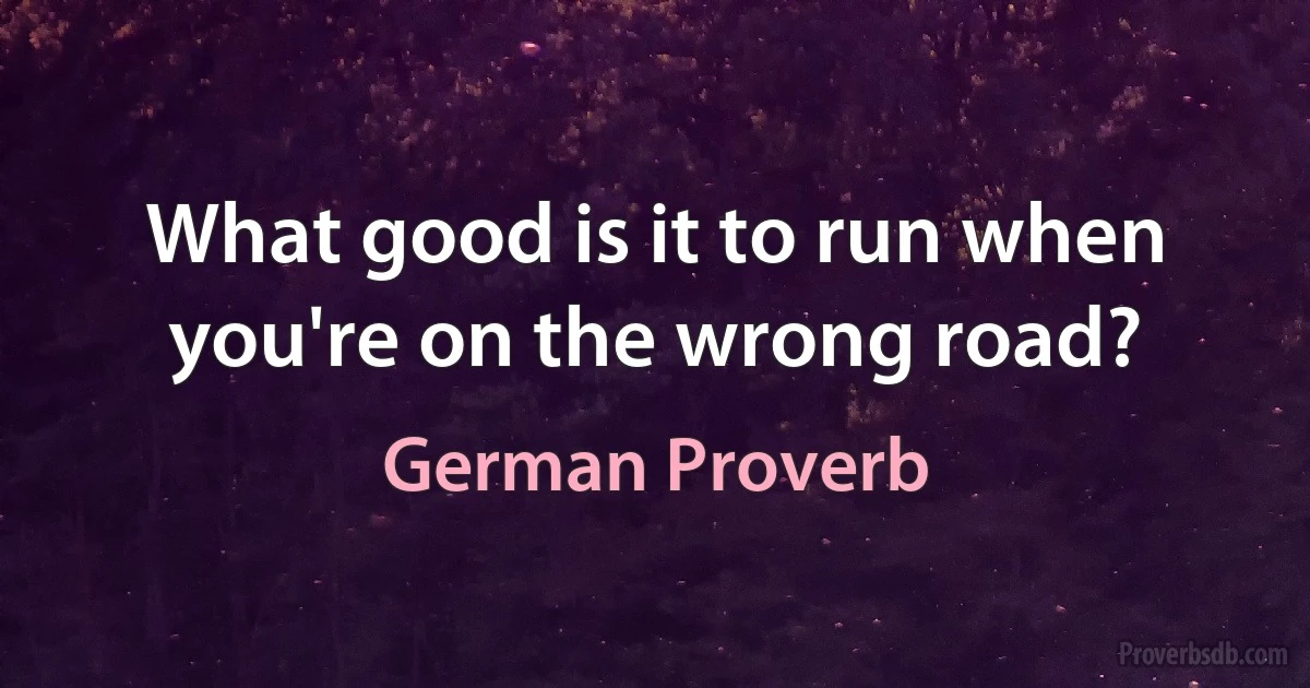 What good is it to run when you're on the wrong road? (German Proverb)