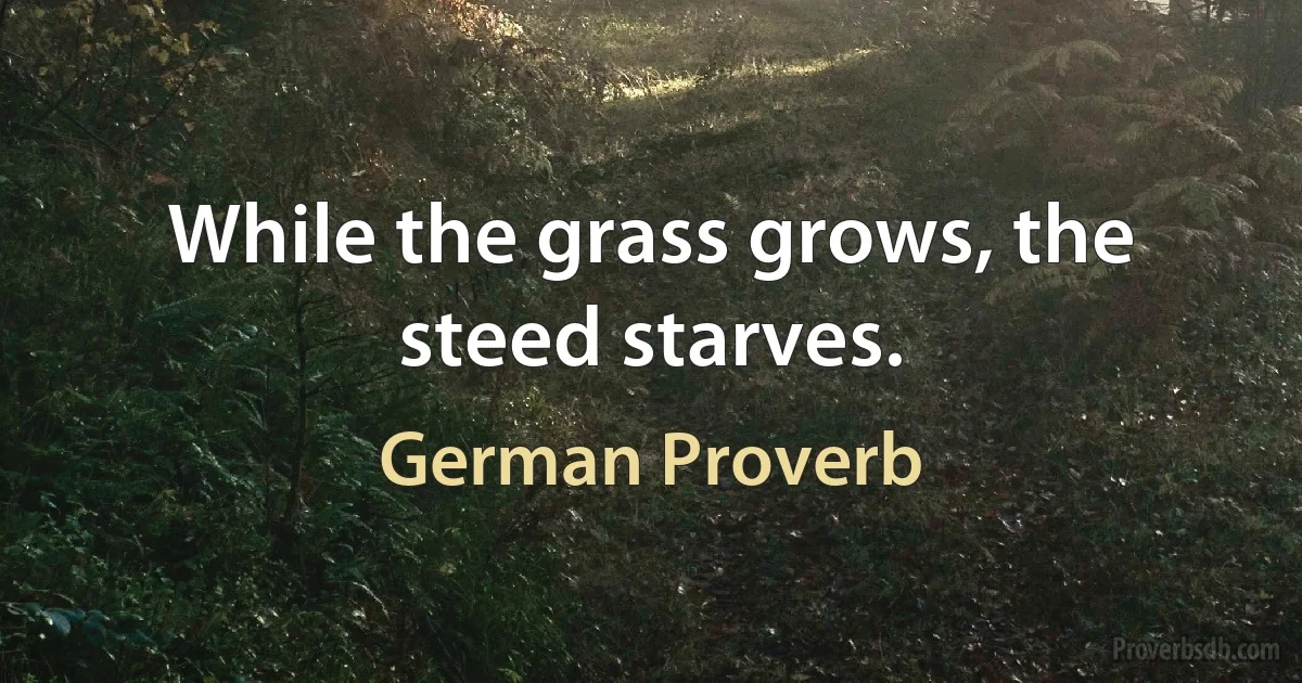 While the grass grows, the steed starves. (German Proverb)