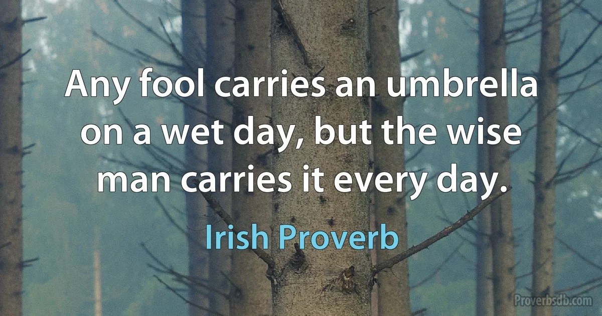 Any fool carries an umbrella on a wet day, but the wise man carries it every day. (Irish Proverb)