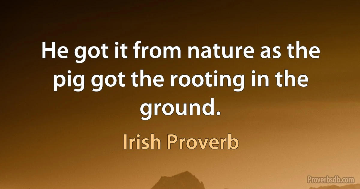 He got it from nature as the pig got the rooting in the ground. (Irish Proverb)