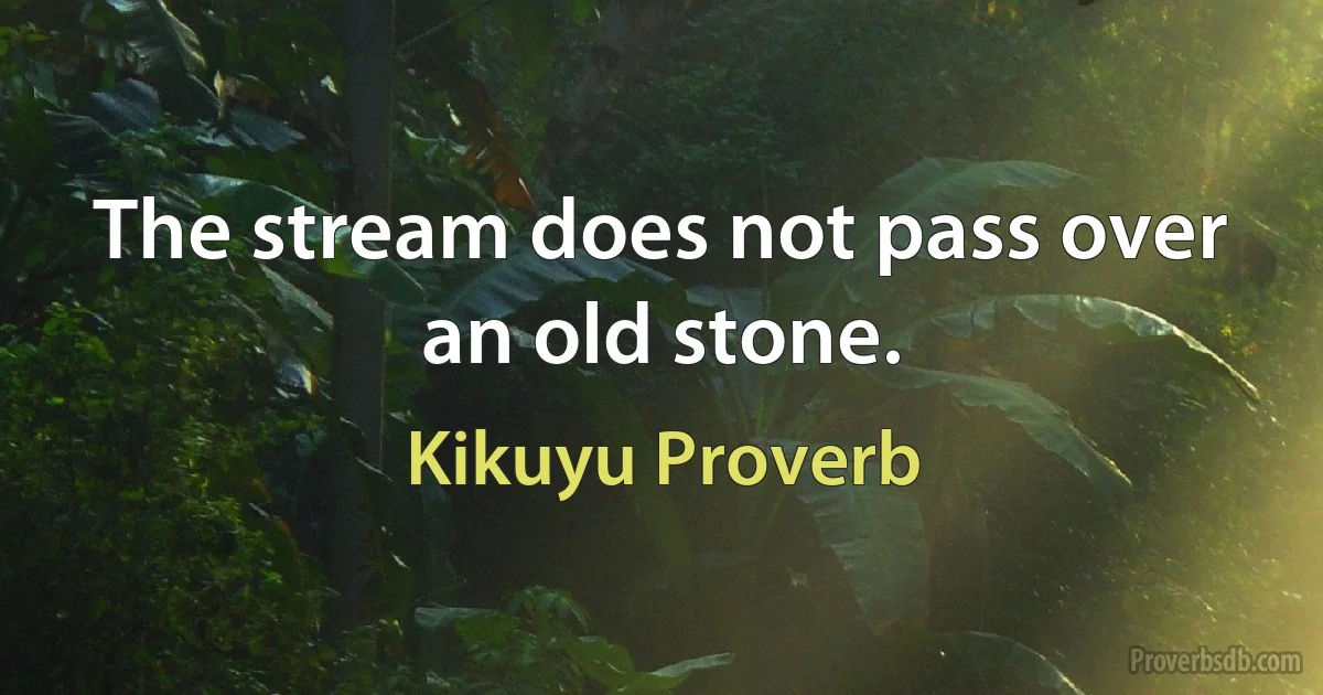 The stream does not pass over an old stone. (Kikuyu Proverb)