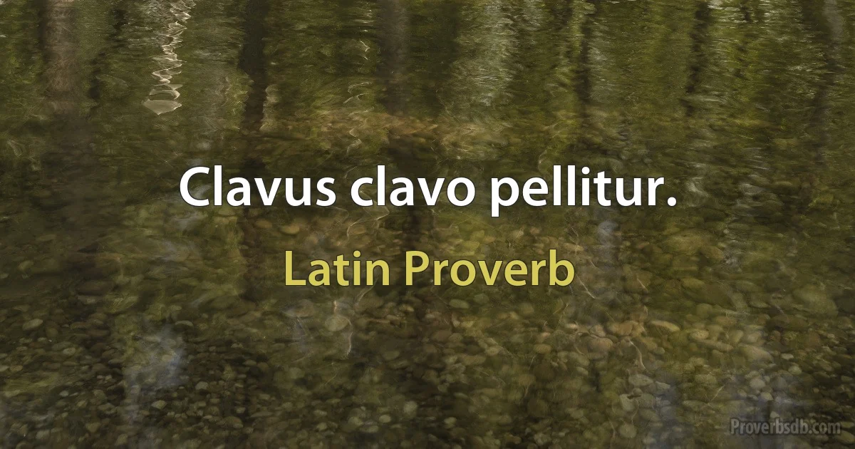 Clavus clavo pellitur. (Latin Proverb)