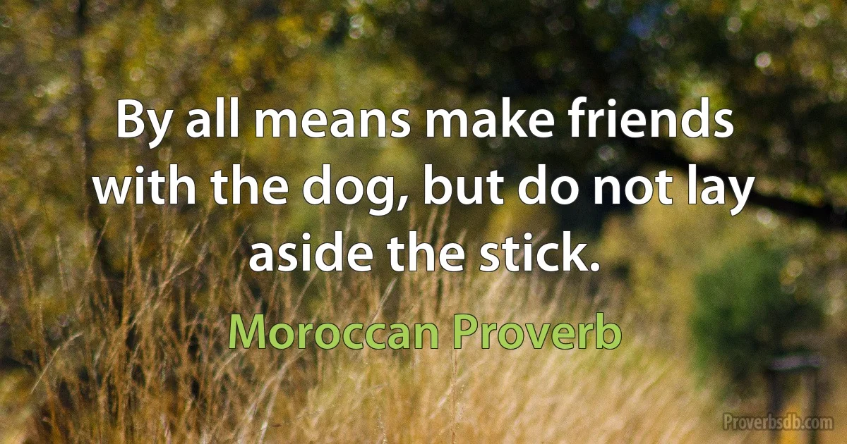 By all means make friends with the dog, but do not lay aside the stick. (Moroccan Proverb)