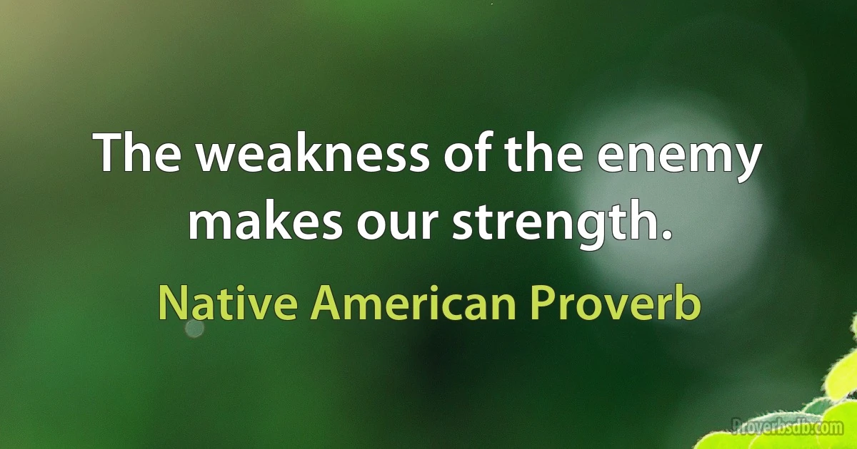 The weakness of the enemy makes our strength. (Native American Proverb)