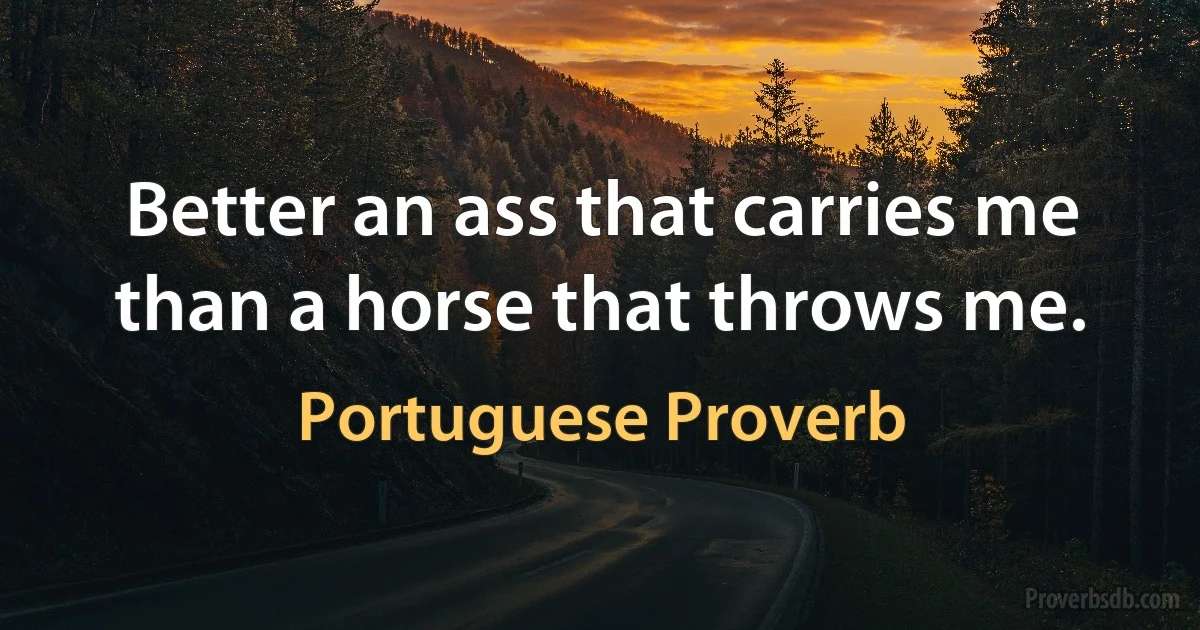 Better an ass that carries me than a horse that throws me. (Portuguese Proverb)