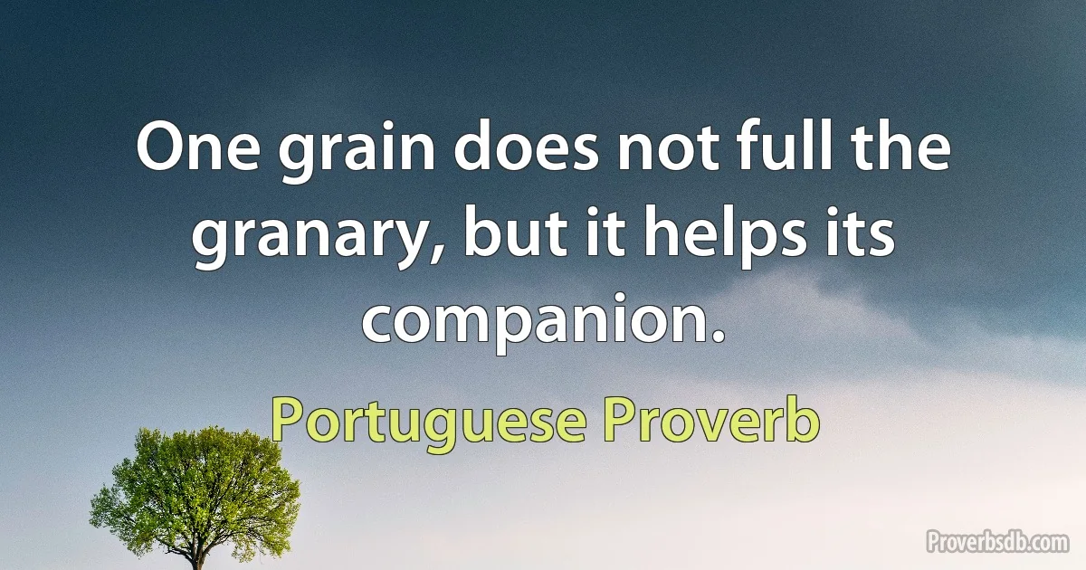 One grain does not full the granary, but it helps its companion. (Portuguese Proverb)