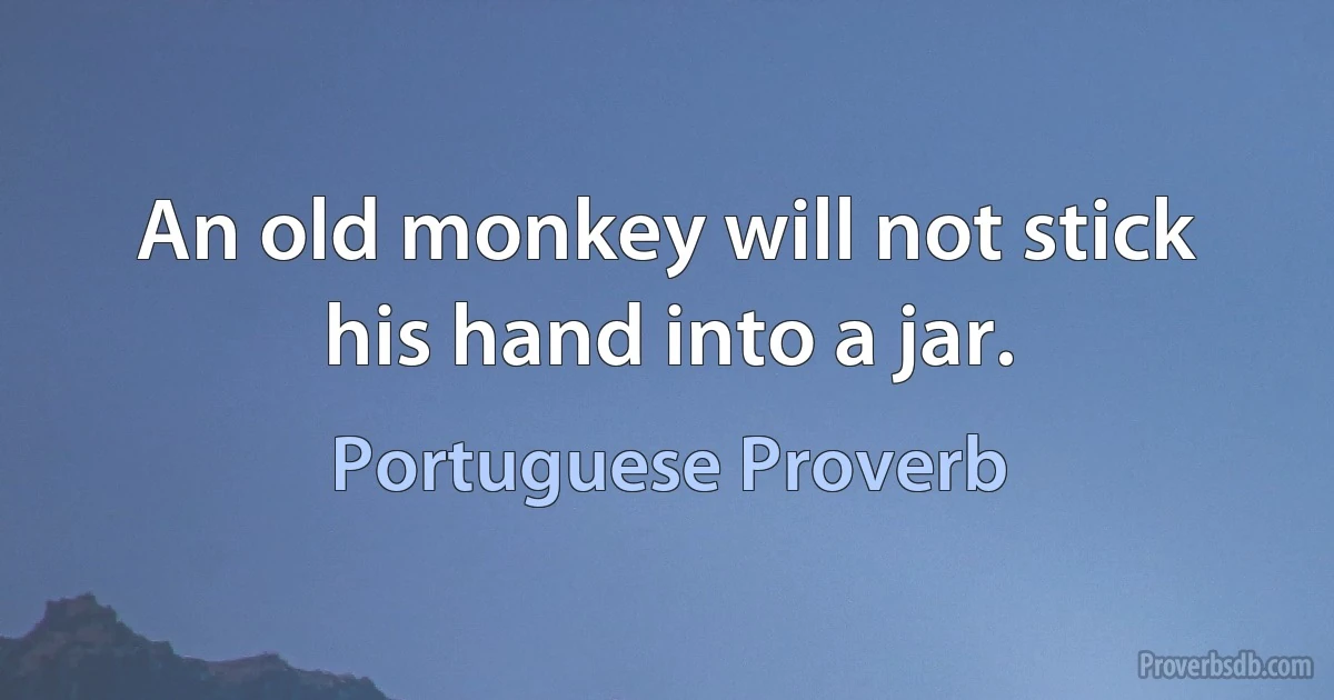 An old monkey will not stick his hand into a jar. (Portuguese Proverb)