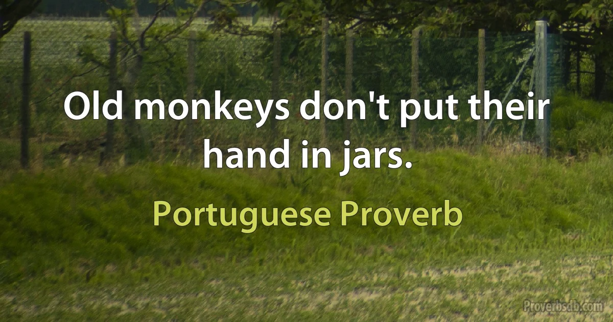 Old monkeys don't put their hand in jars. (Portuguese Proverb)