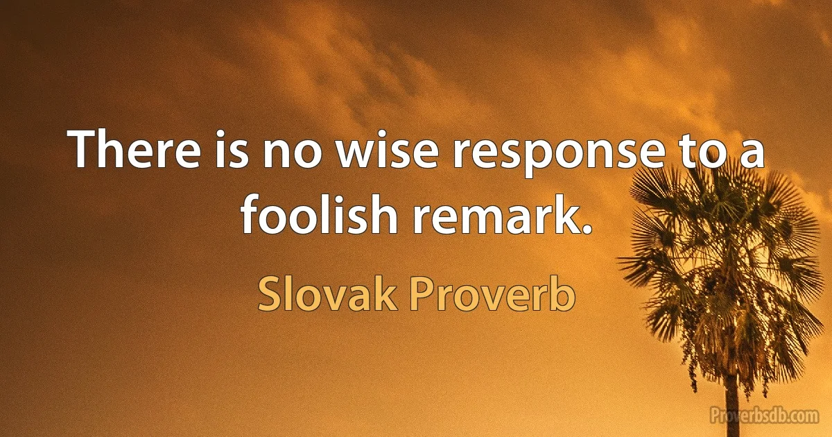 There is no wise response to a foolish remark. (Slovak Proverb)