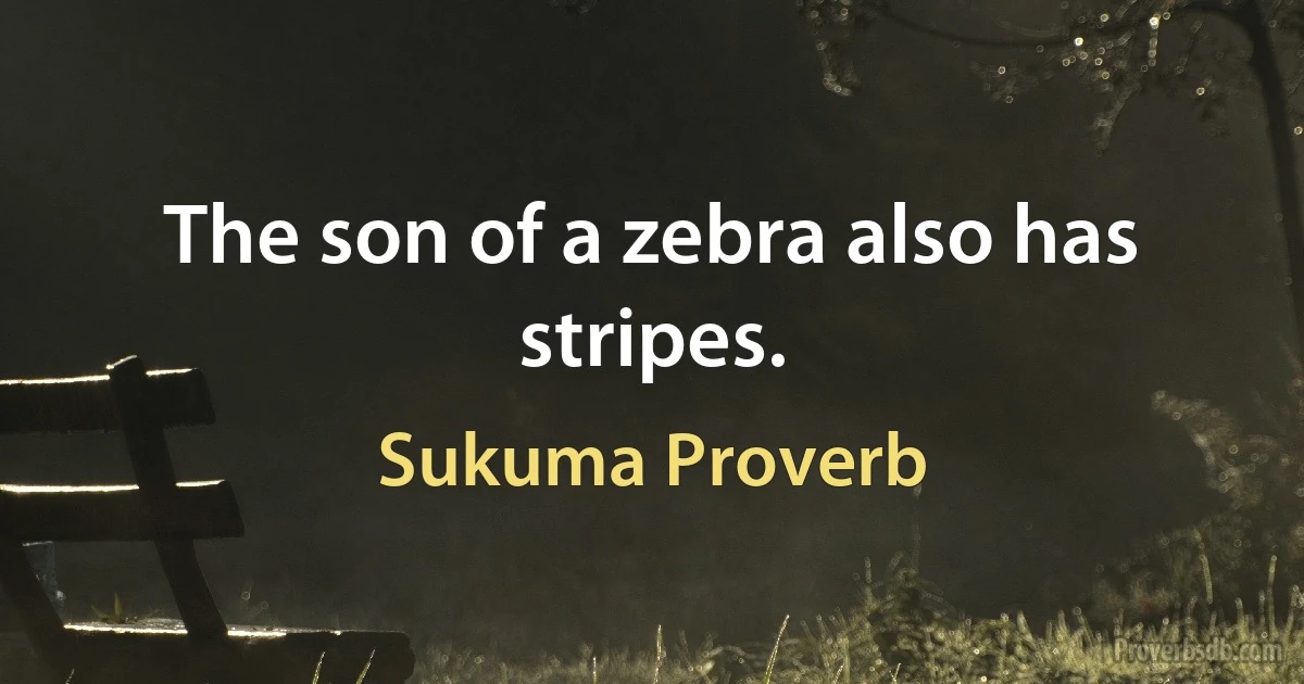 The son of a zebra also has stripes. (Sukuma Proverb)