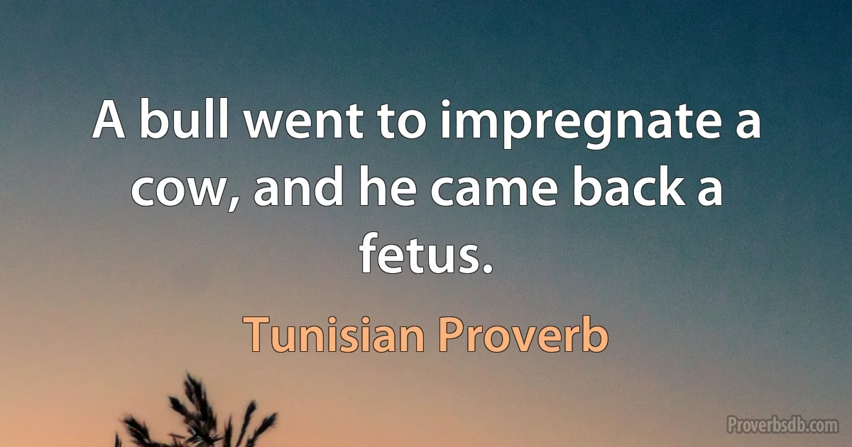 A bull went to impregnate a cow, and he came back a fetus. (Tunisian Proverb)