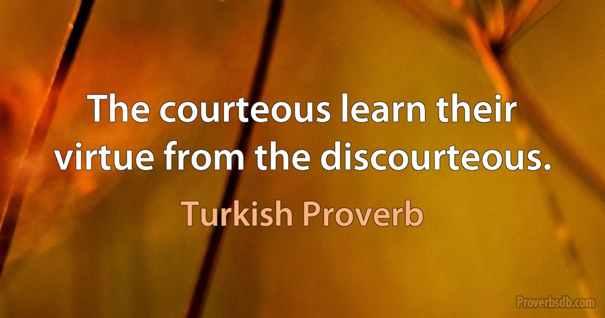 The courteous learn their virtue from the discourteous. (Turkish Proverb)