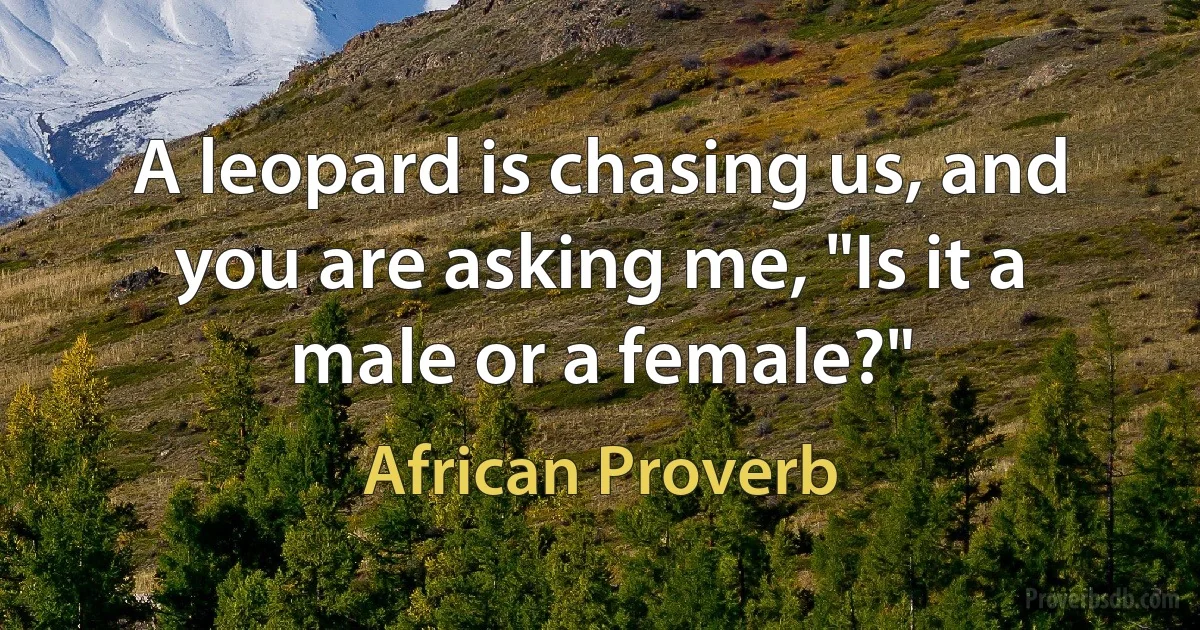 A leopard is chasing us, and you are asking me, "Is it a male or a female?" (African Proverb)