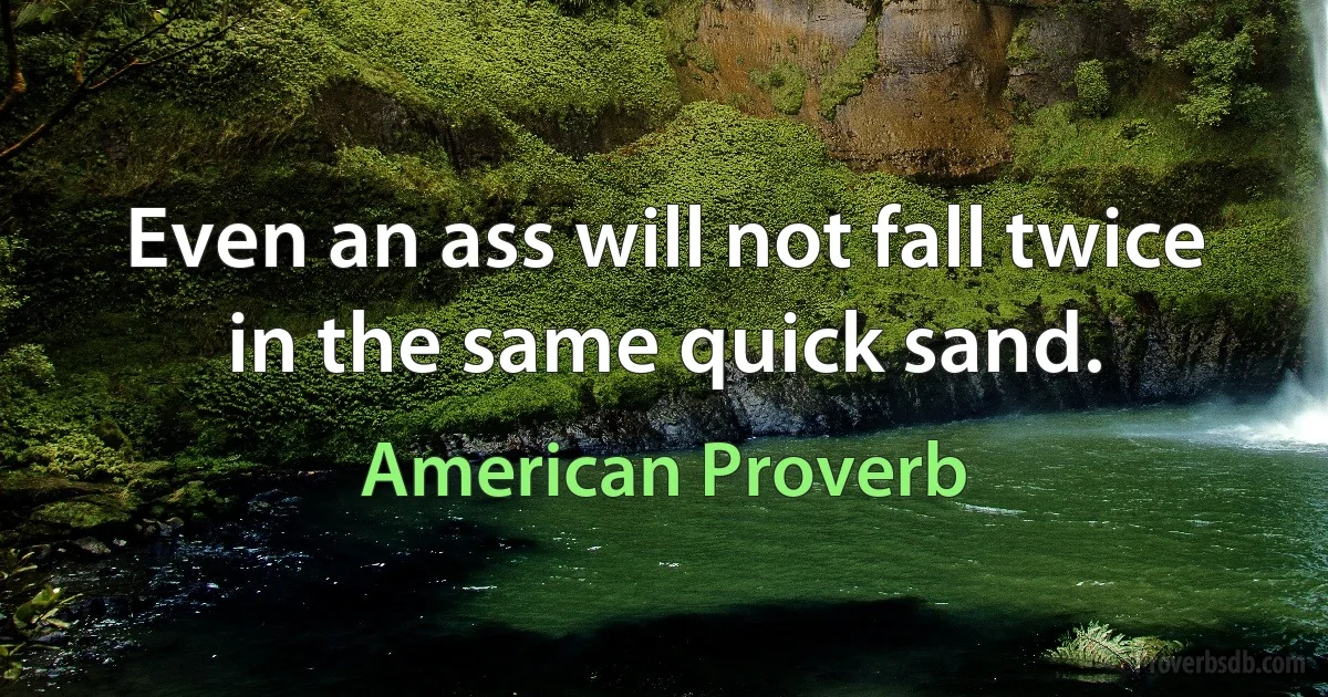 Even an ass will not fall twice in the same quick sand. (American Proverb)