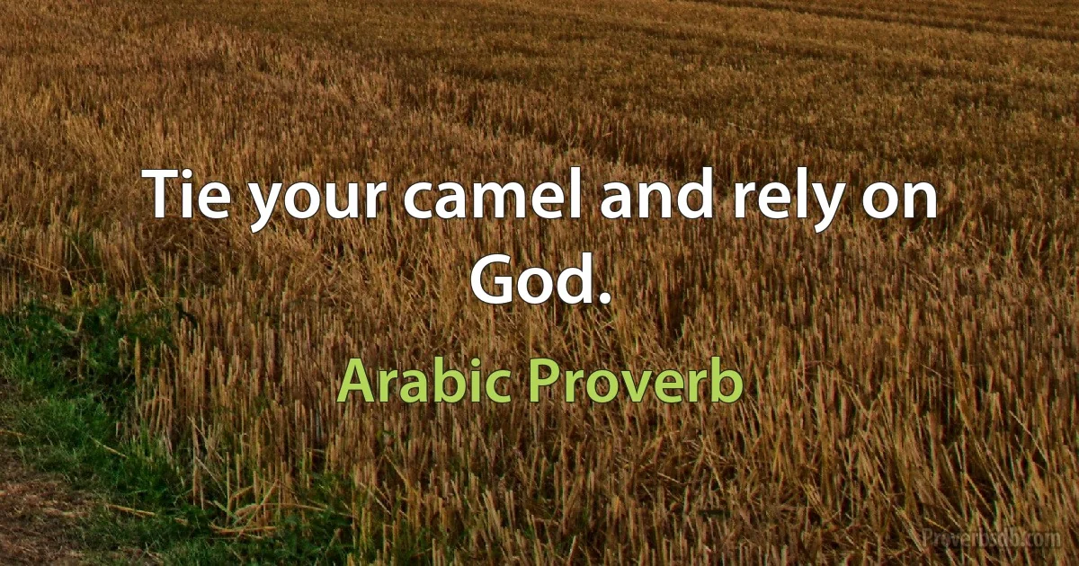 Tie your camel and rely on God. (Arabic Proverb)