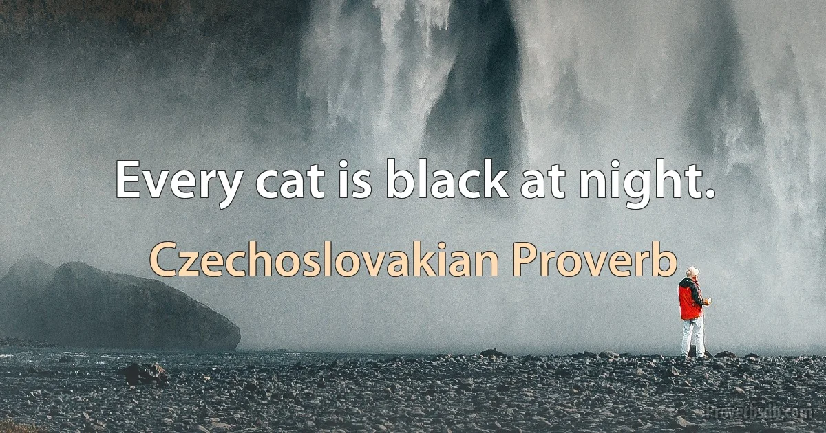 Every cat is black at night. (Czechoslovakian Proverb)