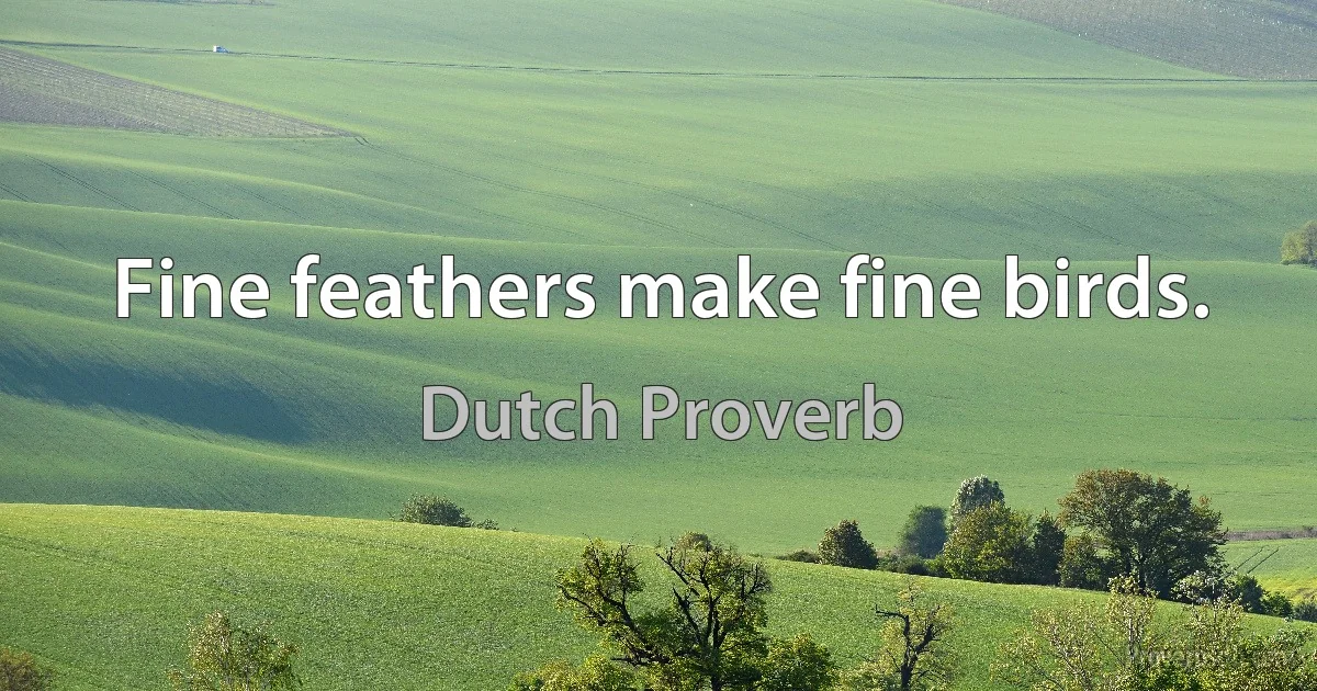 Fine feathers make fine birds. (Dutch Proverb)