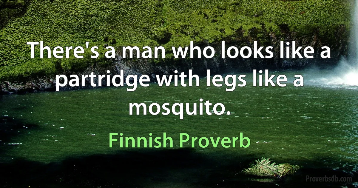 There's a man who looks like a partridge with legs like a mosquito. (Finnish Proverb)