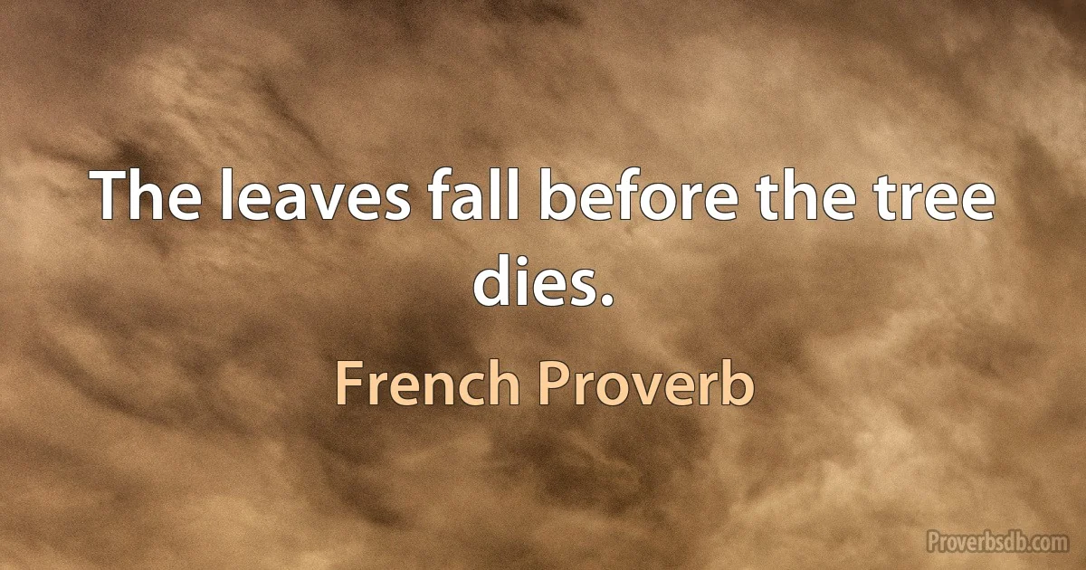 The leaves fall before the tree dies. (French Proverb)