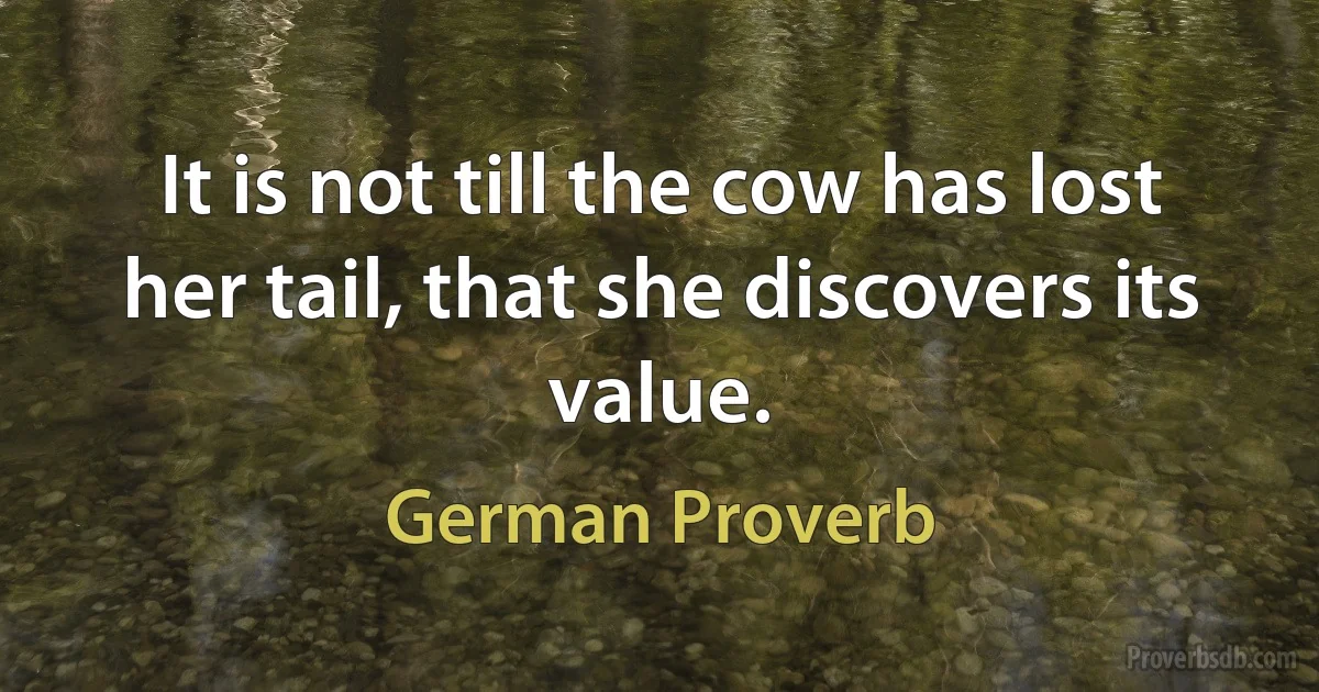 It is not till the cow has lost her tail, that she discovers its value. (German Proverb)