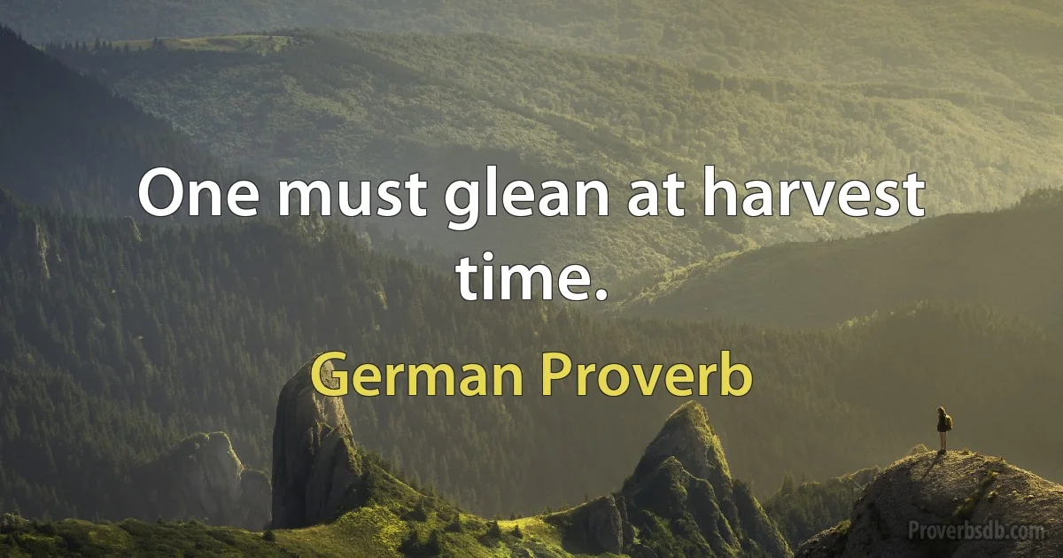 One must glean at harvest time. (German Proverb)