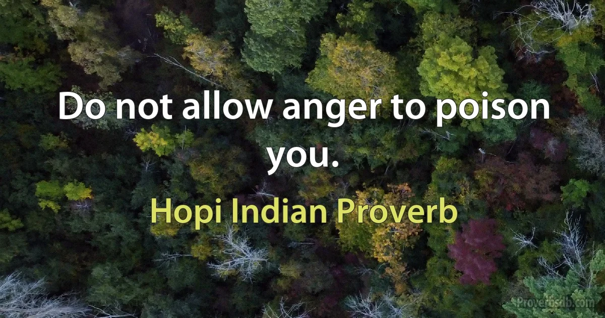 Do not allow anger to poison you. (Hopi Indian Proverb)