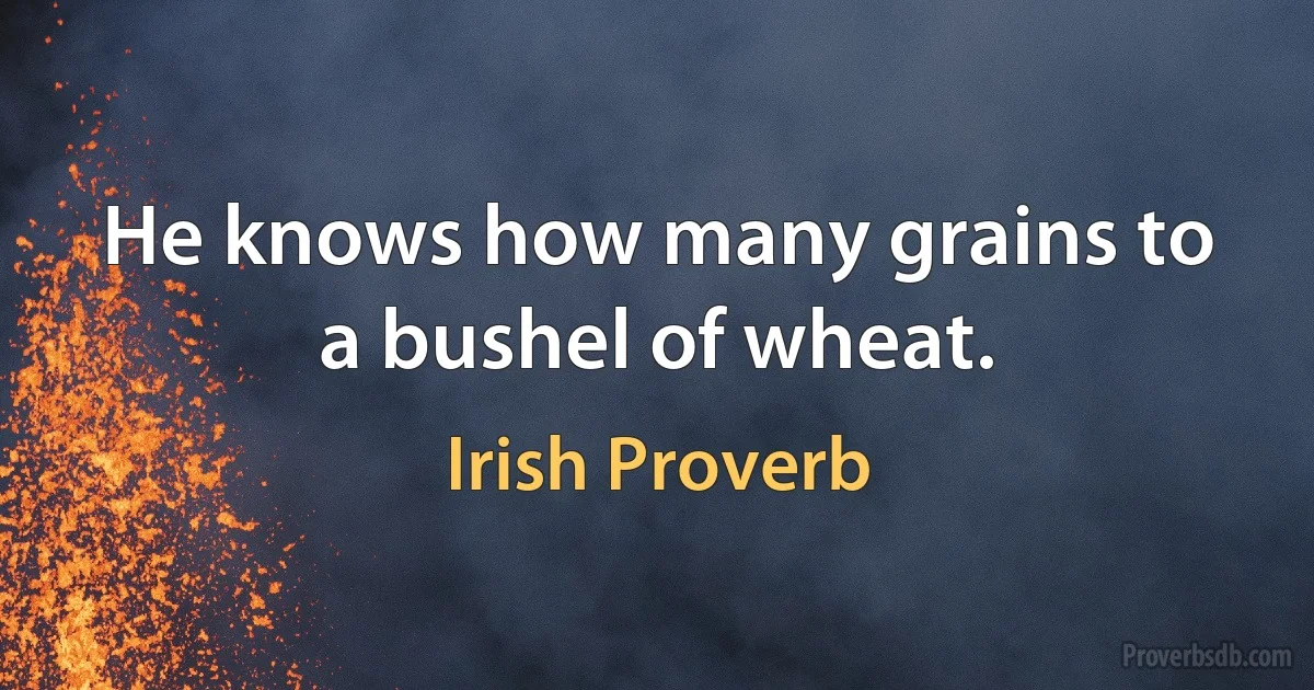 He knows how many grains to a bushel of wheat. (Irish Proverb)