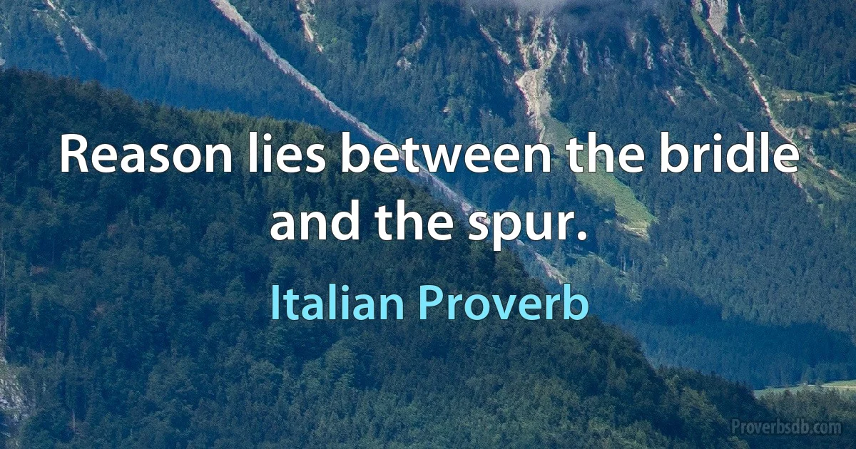 Reason lies between the bridle and the spur. (Italian Proverb)