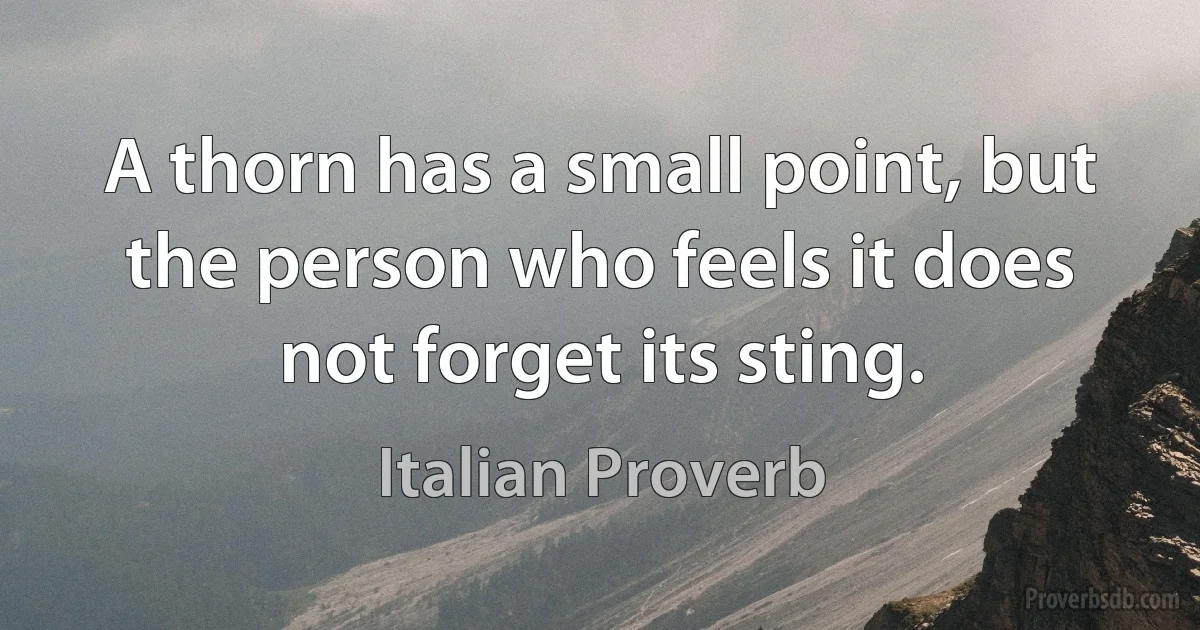 A thorn has a small point, but the person who feels it does not forget its sting. (Italian Proverb)