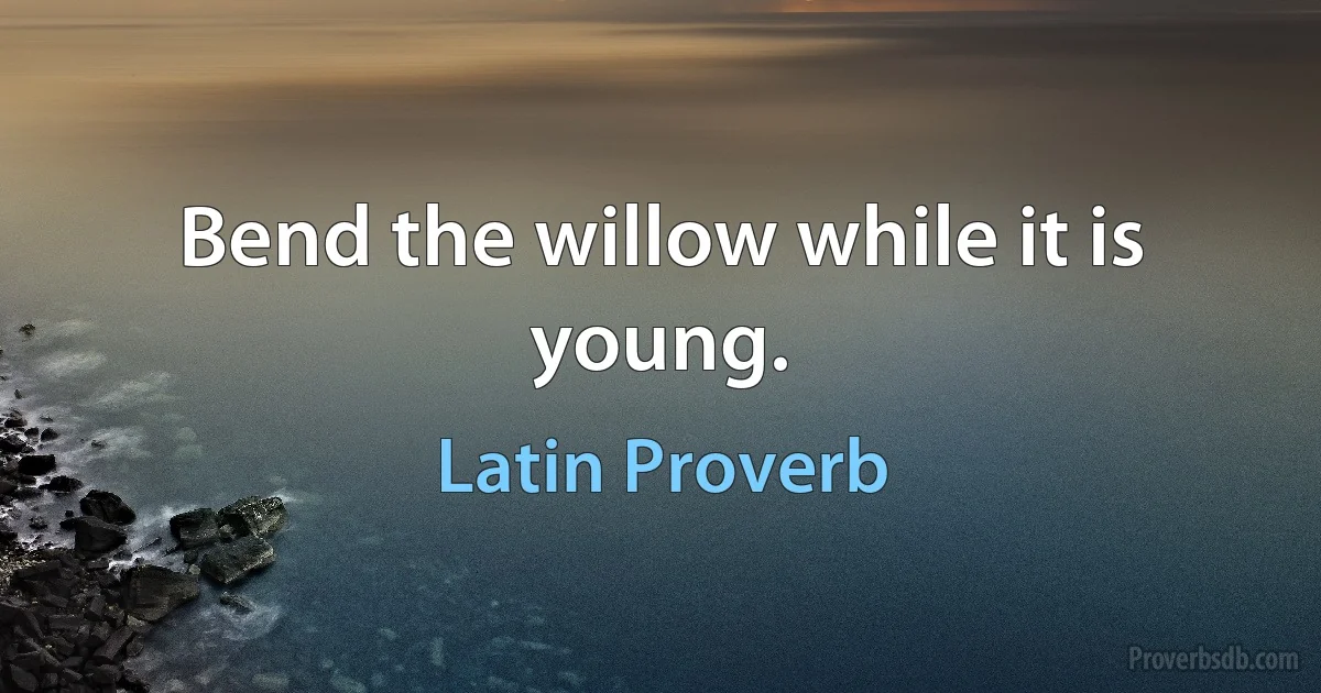 Bend the willow while it is young. (Latin Proverb)