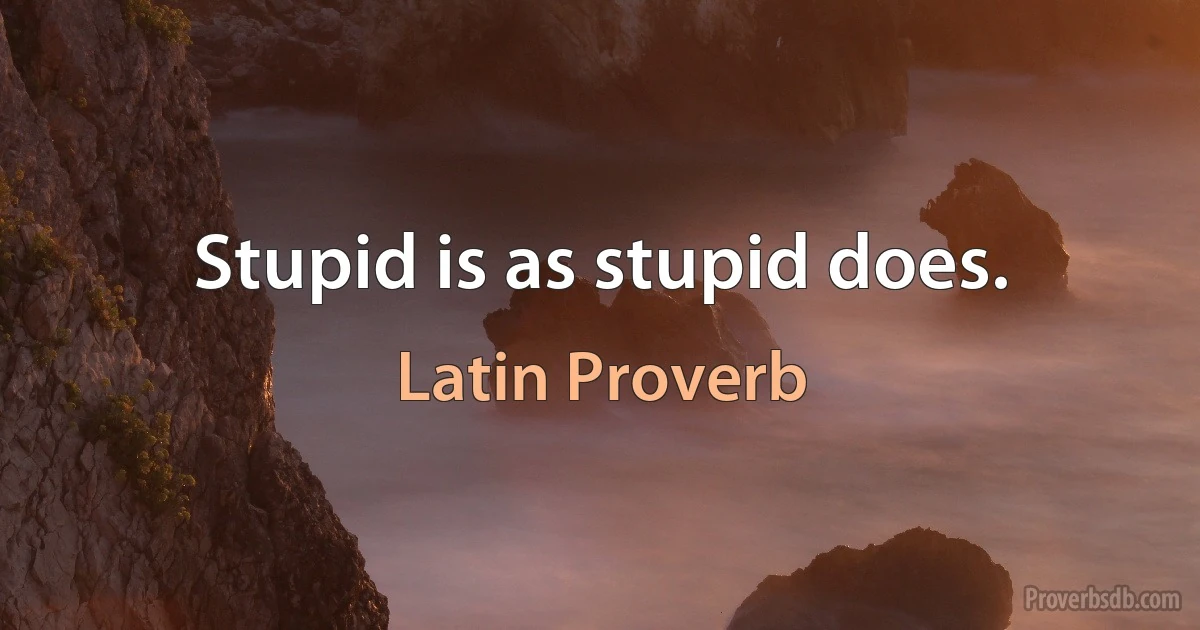 Stupid is as stupid does. (Latin Proverb)