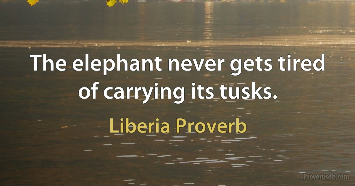 The elephant never gets tired of carrying its tusks. (Liberia Proverb)