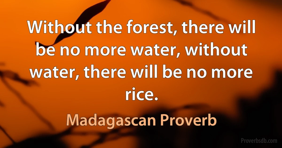 Without the forest, there will be no more water, without water, there will be no more rice. (Madagascan Proverb)