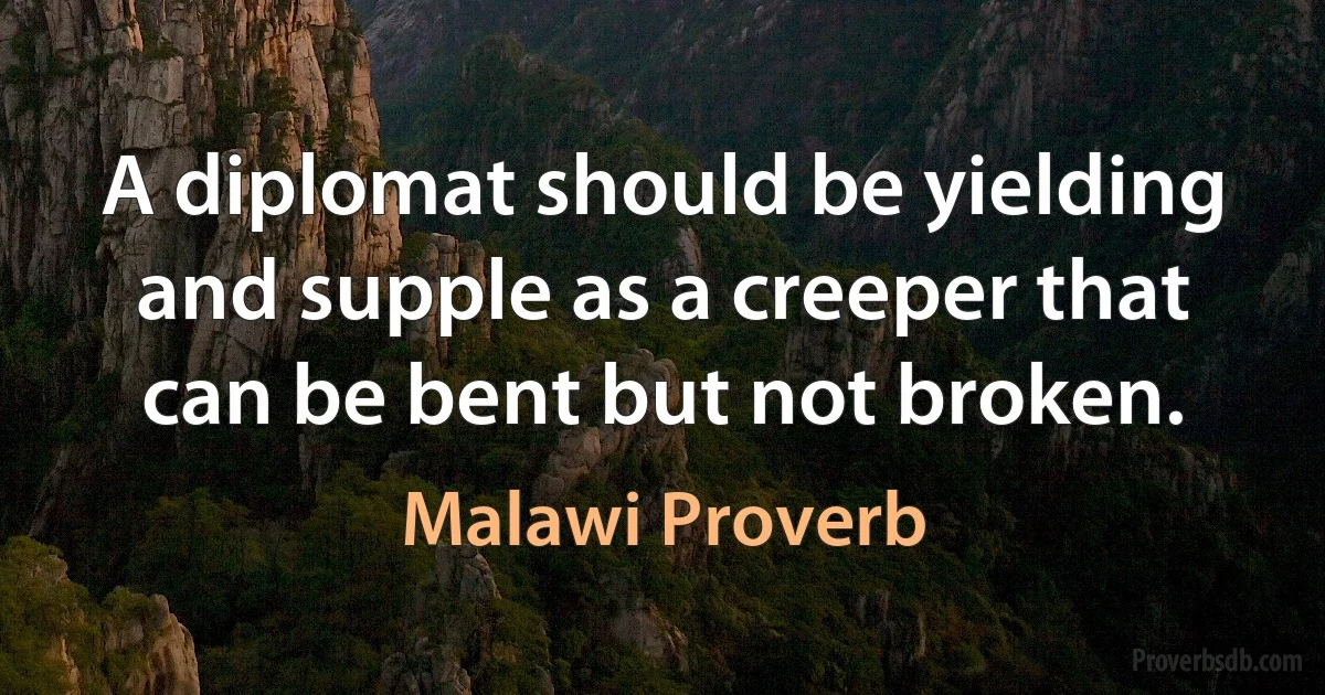 A diplomat should be yielding and supple as a creeper that can be bent but not broken. (Malawi Proverb)