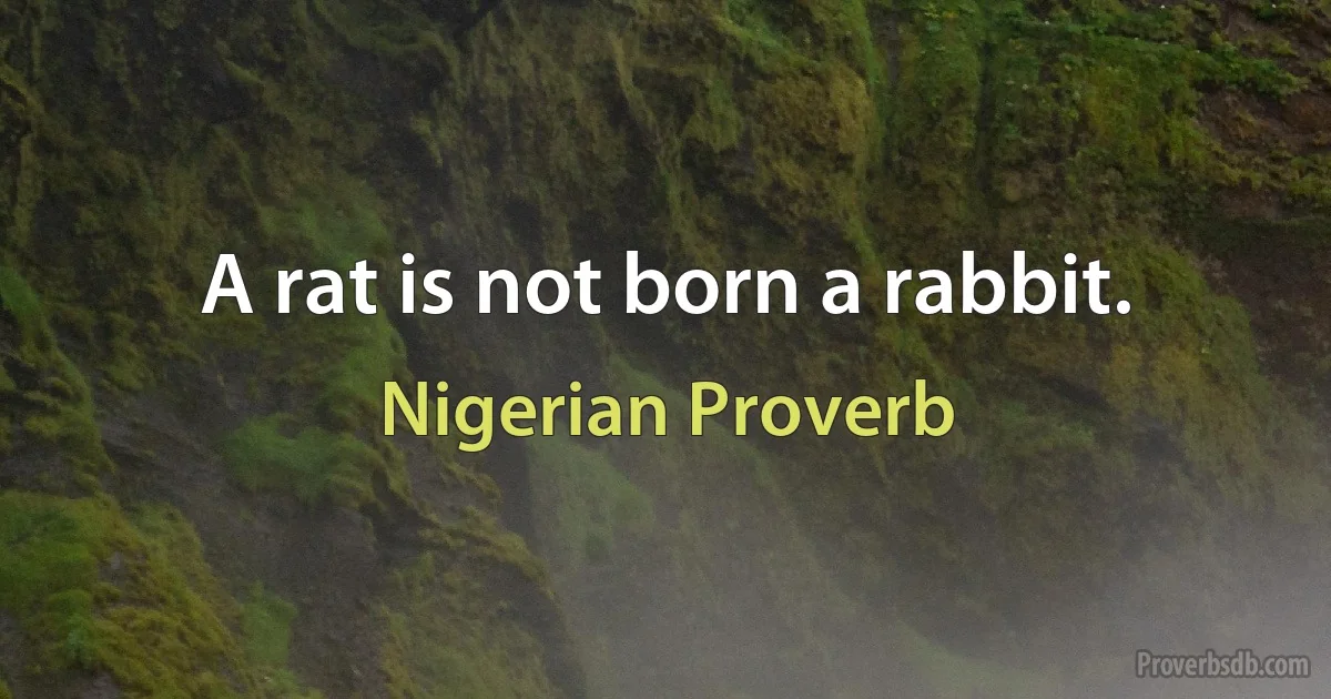 A rat is not born a rabbit. (Nigerian Proverb)