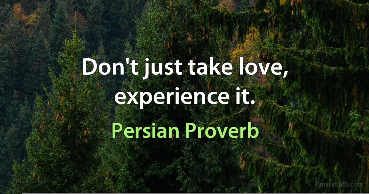 Don't just take love, experience it. (Persian Proverb)