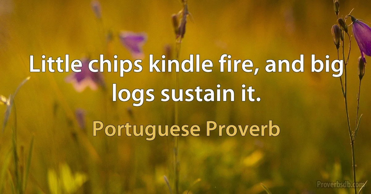 Little chips kindle fire, and big logs sustain it. (Portuguese Proverb)