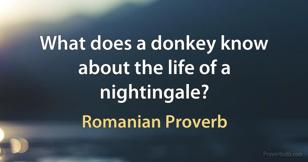 What does a donkey know about the life of a nightingale? (Romanian Proverb)