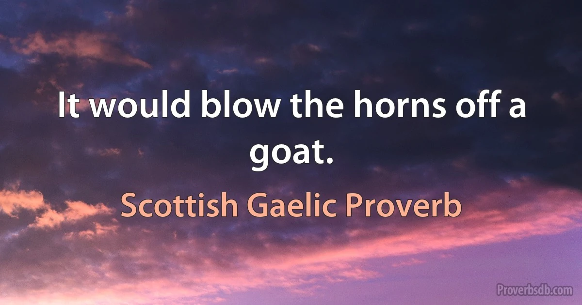 It would blow the horns off a goat. (Scottish Gaelic Proverb)