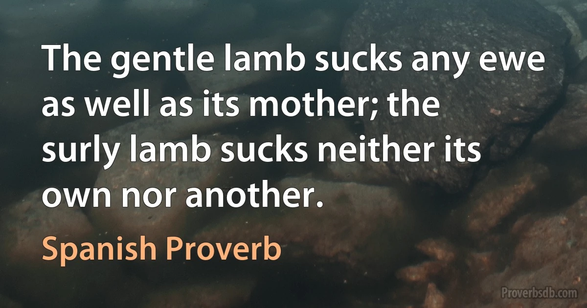 The gentle lamb sucks any ewe as well as its mother; the surly lamb sucks neither its own nor another. (Spanish Proverb)