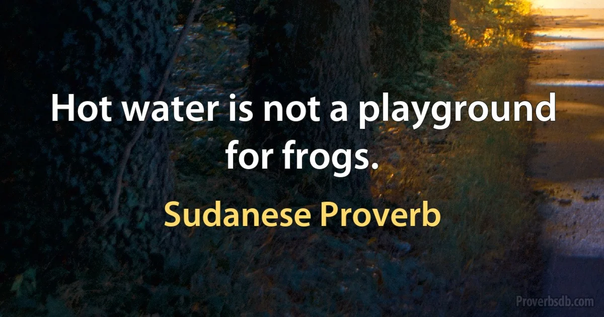 Hot water is not a playground for frogs. (Sudanese Proverb)