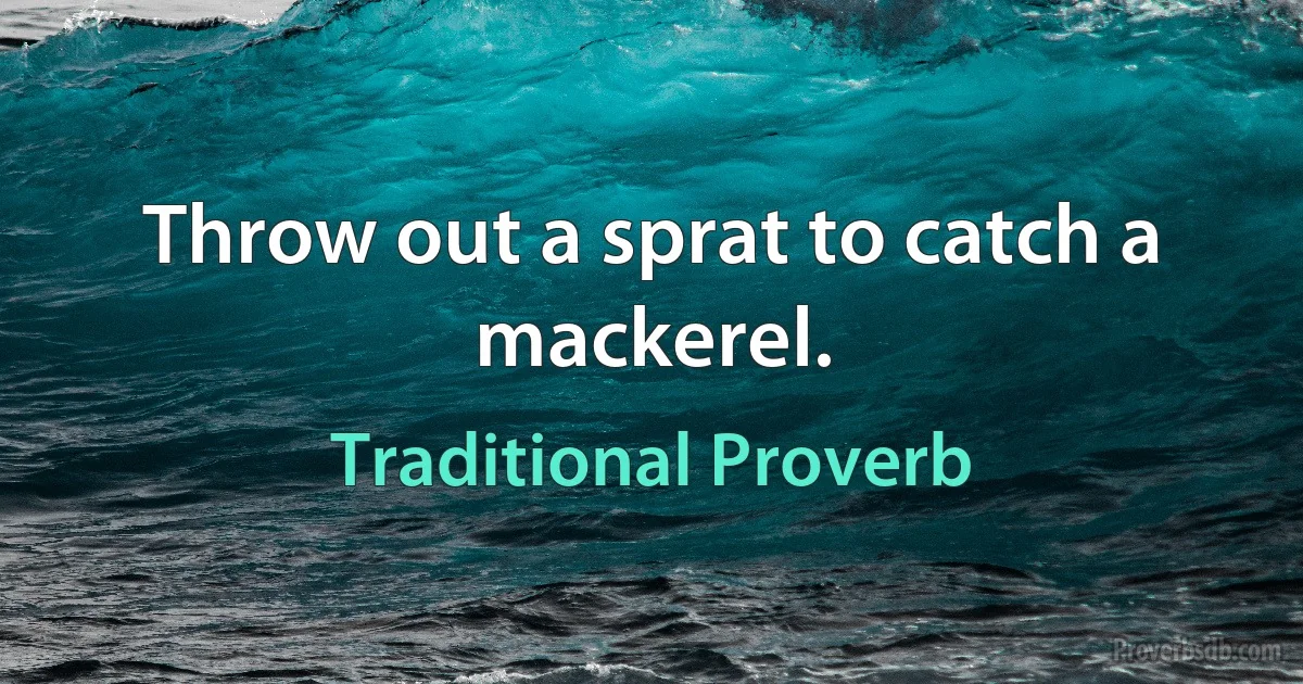 Throw out a sprat to catch a mackerel. (Traditional Proverb)