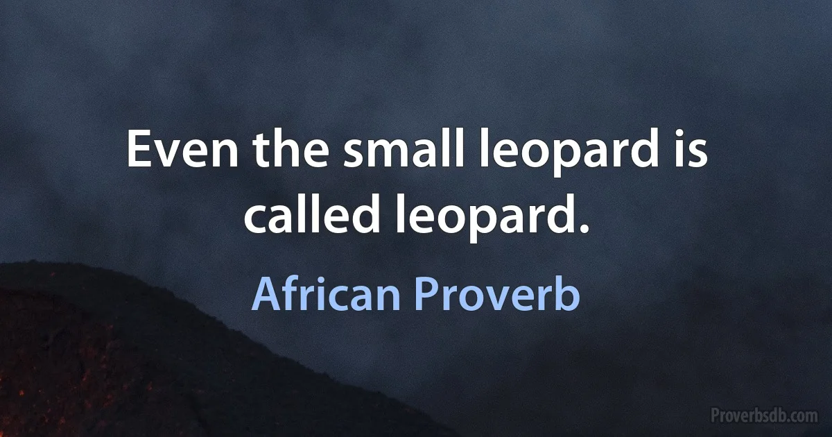 Even the small leopard is called leopard. (African Proverb)