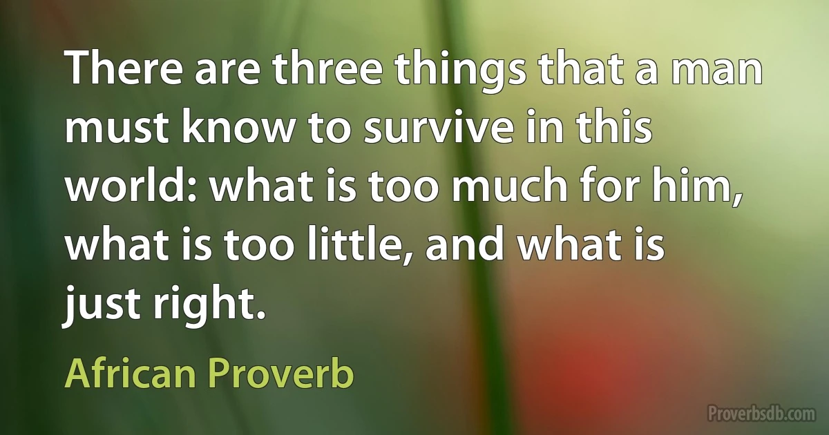 There are three things that a man must know to survive in this world: what is too much for him, what is too little, and what is just right. (African Proverb)