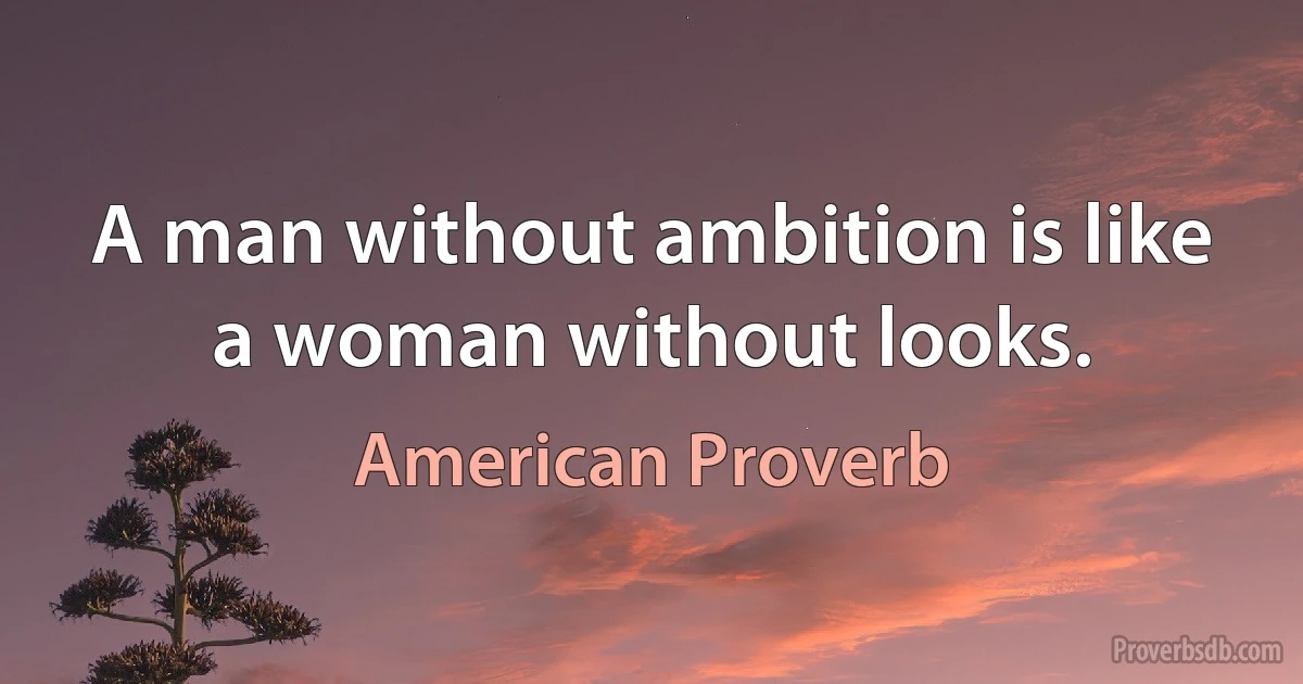 A man without ambition is like a woman without looks. (American Proverb)