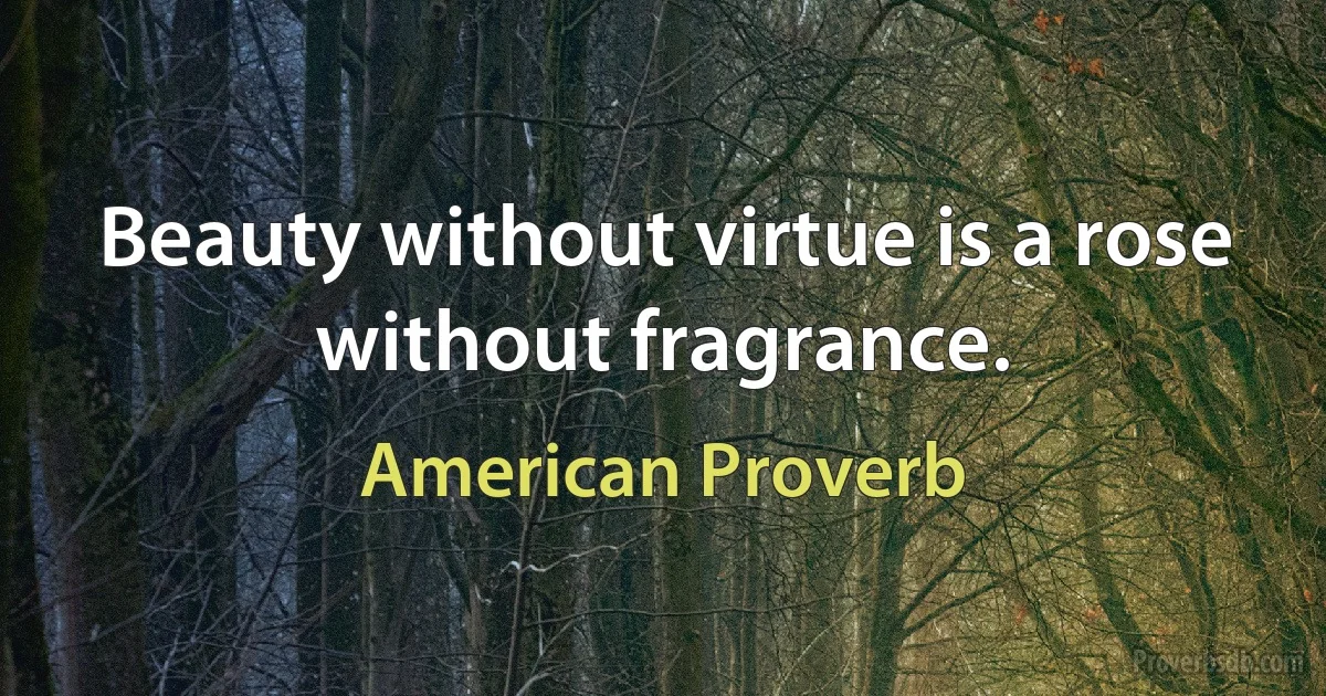 Beauty without virtue is a rose without fragrance. (American Proverb)