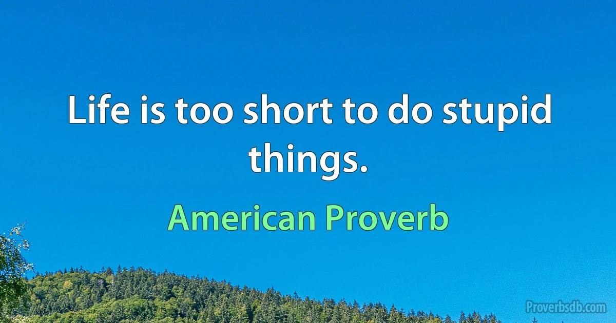 Life is too short to do stupid things. (American Proverb)